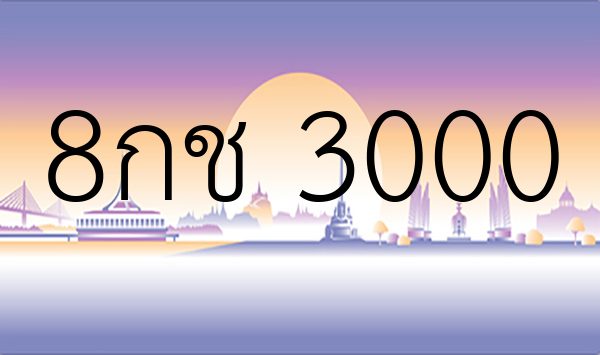 8กช 3000